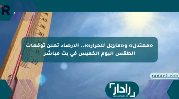 «معتدل» و«مائل للحرارة».. الأرصاد تعلن توقعات الطقس اليوم الخميس في بث مباشر